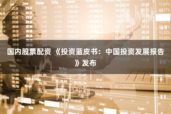 国内股票配资 《投资蓝皮书：中国投资发展报告》发布