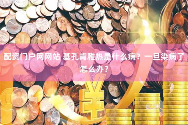 配资门户网网站 基孔肯雅热是什么病？一旦染病了怎么办？