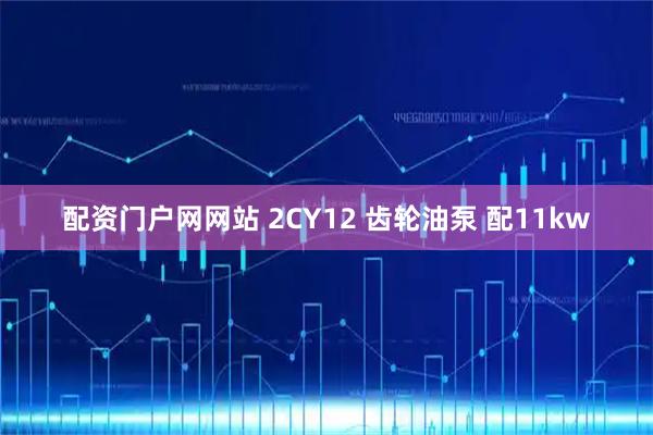 配资门户网网站 2CY12 齿轮油泵 配11kw